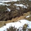 2011 03 17 - Elem, Soil Erosion 2