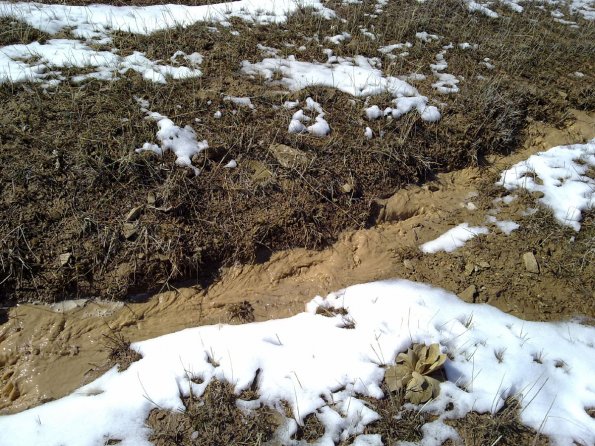 2011 03 17 - Elem, Soil Erosion 2