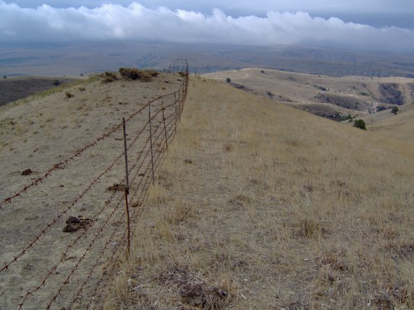 2006 10 01 - Soil Development - First Year after Fencing - Livestock Deserted on outside and Grown Wild Grass inside the Fence - 2006_595